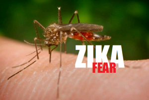 zika fear