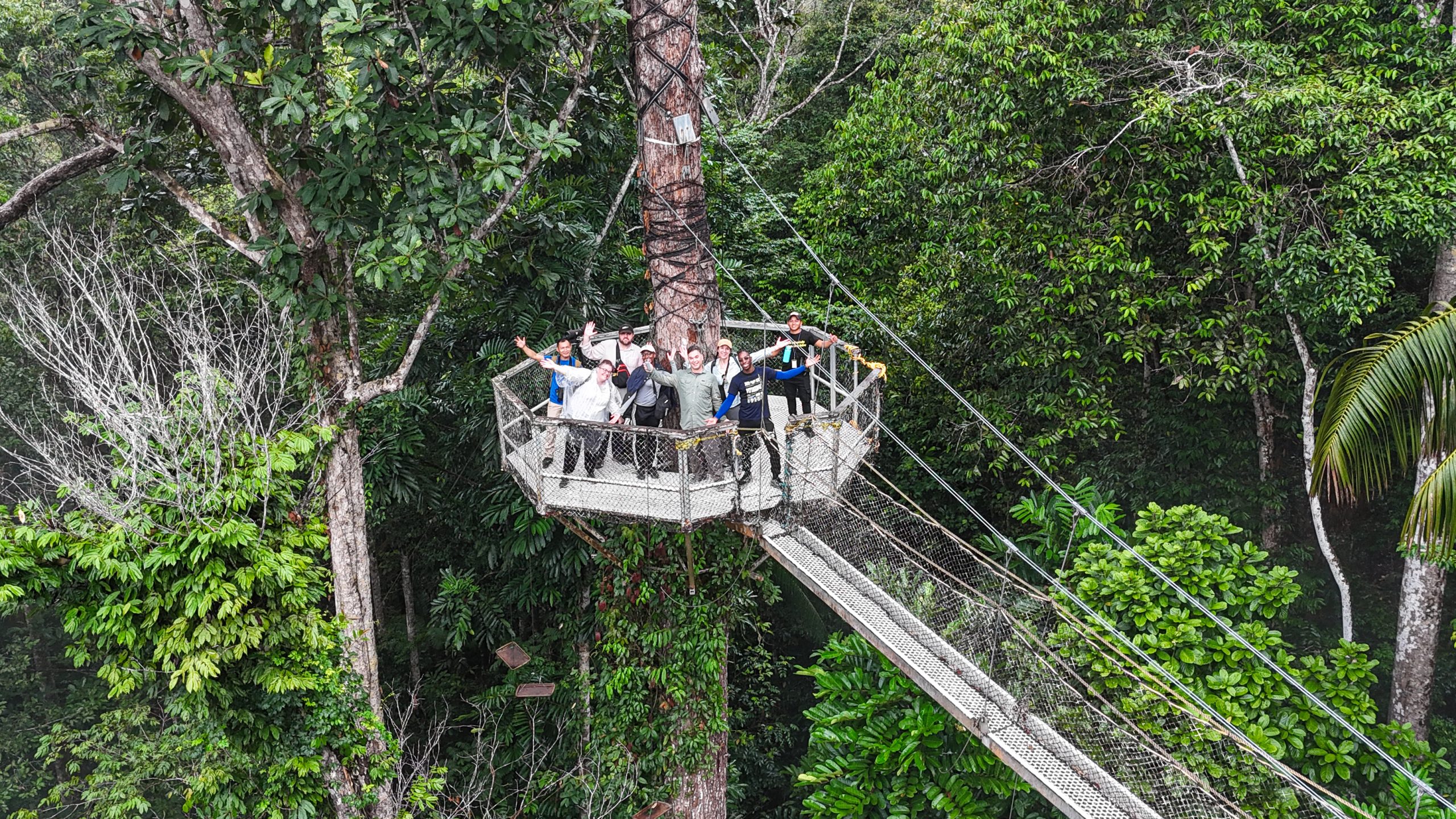 Iwokrama Forest retains coveted FSC™ certification