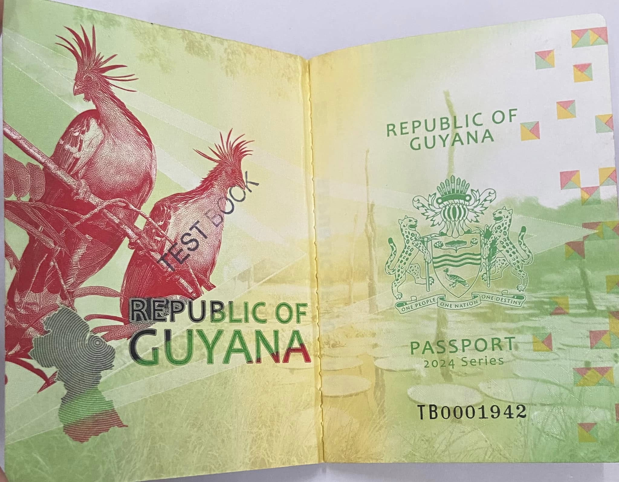 Visa on arrival, e-visa for Guyanese travelling to Saudi Arabia – INews Guyana