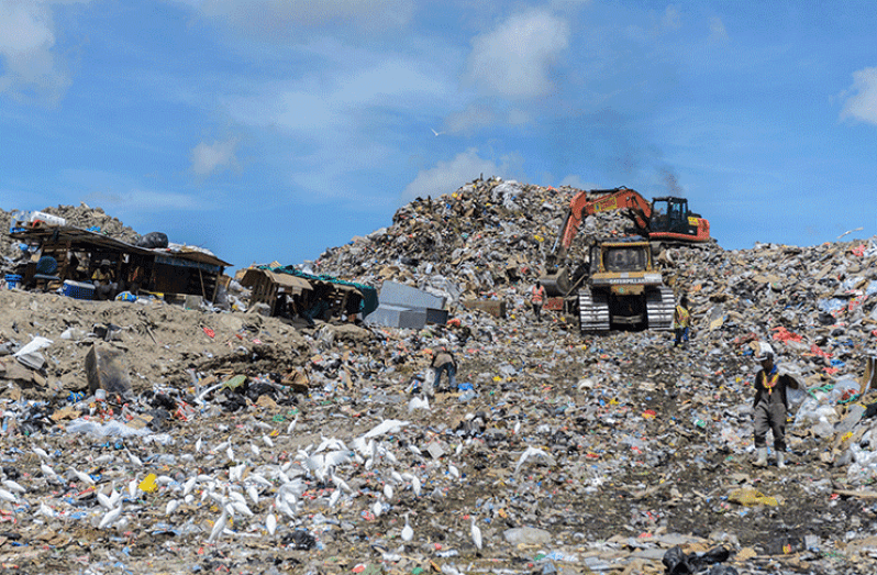 Local Govt Ministry examining solutions to another stench problem at Haags Bosch landfill