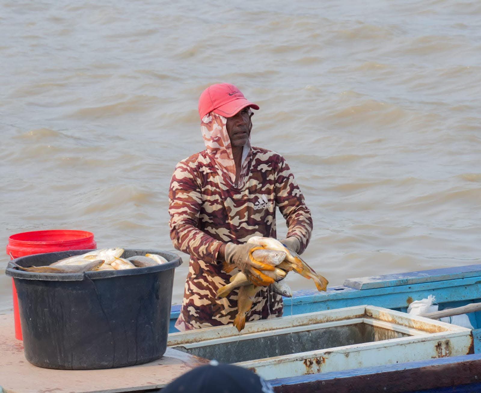 Fisherfolk urged to diversify income with backyard farming, aquaculture