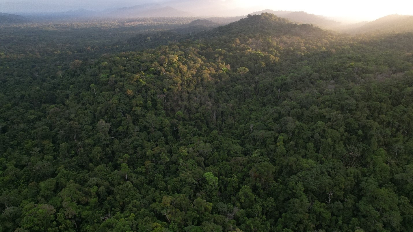 Guyana sold carbon credits to 19 airlines under LCDS framework