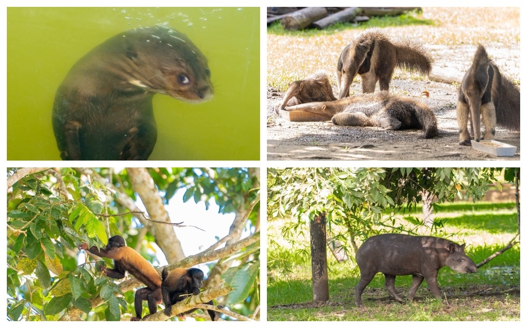 Hyde Park Zoo to open in March