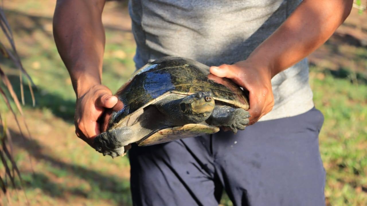 ‘Destination Guyana’ recognised for sustainable tourism excellence