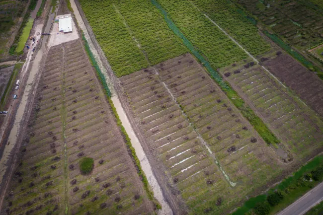 Gov’t plans new transport links to support Palmyra development