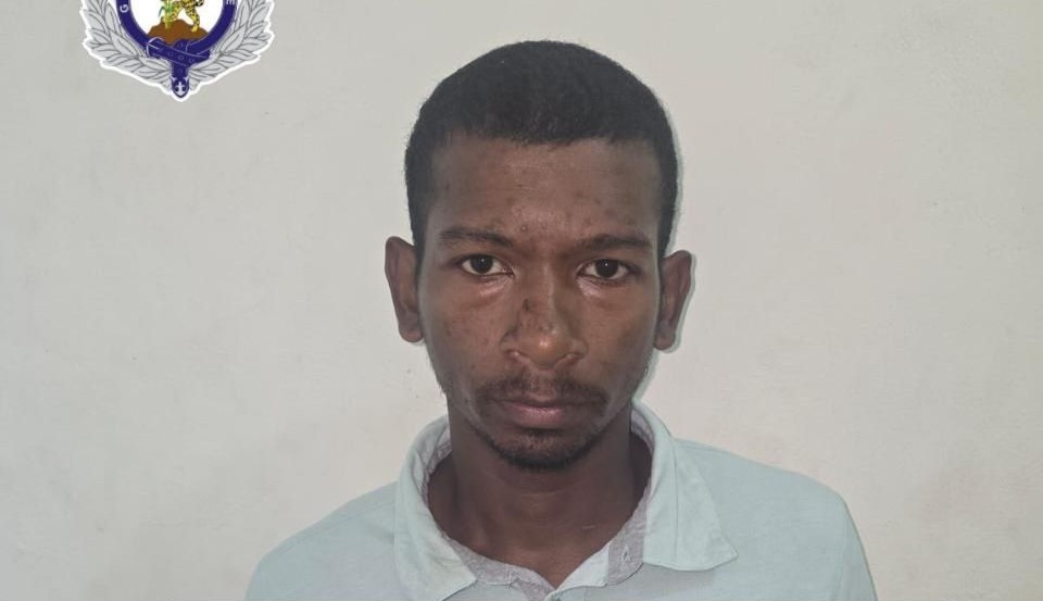 Man gets $750K bail on Causing Death by Dangerous Driving charge ...