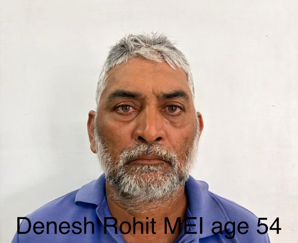 Cattle owner fined for allowing animals to stray into EBD housing schemes 