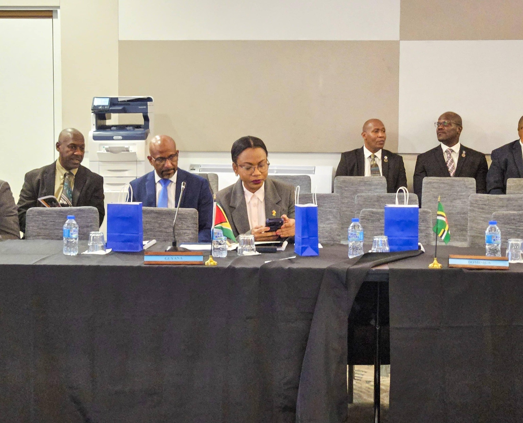Min. Walrond attends RSS Council of Ministers Meeting in St Lucia