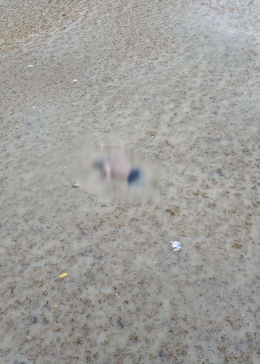 Body found in Demerara River behind Marriott Hotel