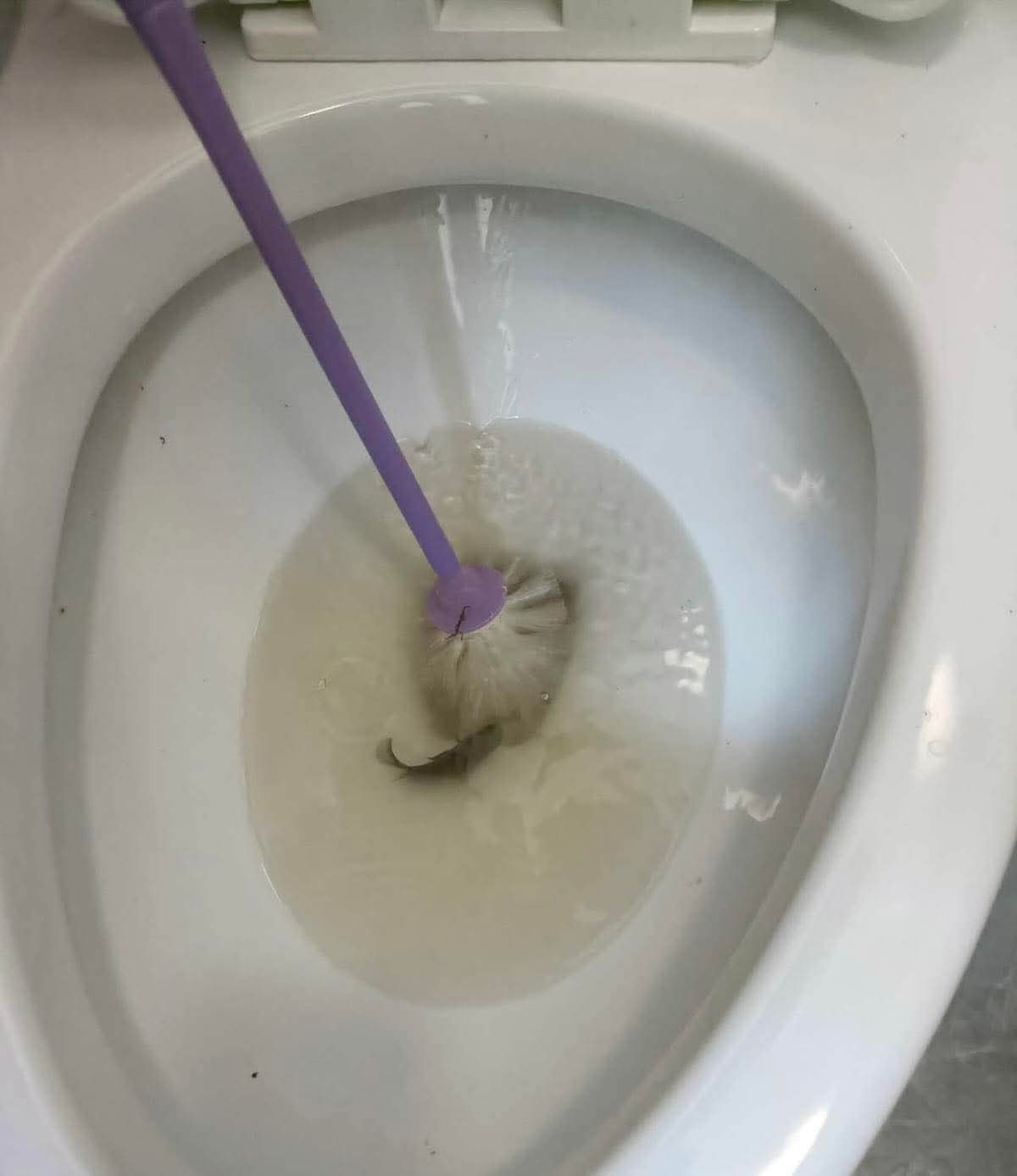 PAC condemns vandalism of facilities at Guyana-China Friendship Park 