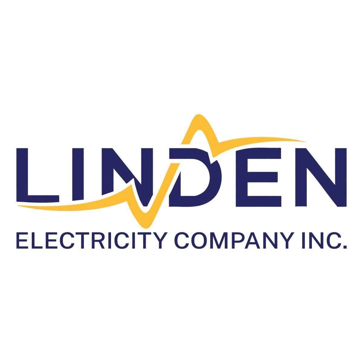 Linden Electricity Company in talks with supplier to boost generation capacity to address shortfall